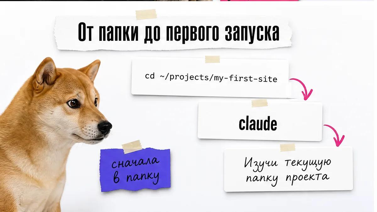 Сиба-ину смотрит на карточки с командами запуска Claude Code.