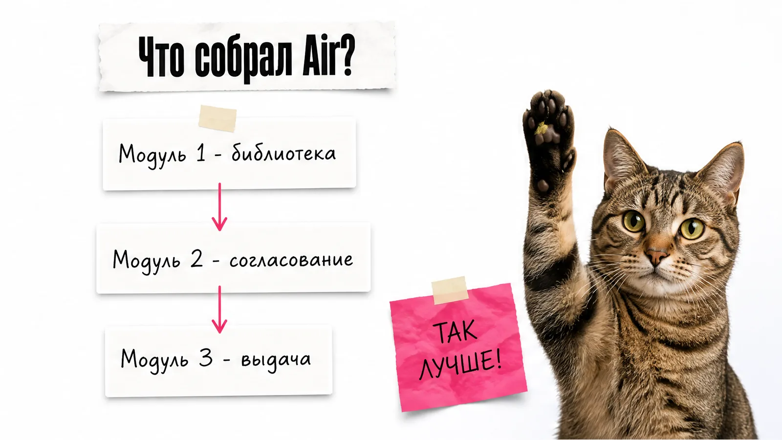 Кот у карточек показывает три опоры платформы Air.
