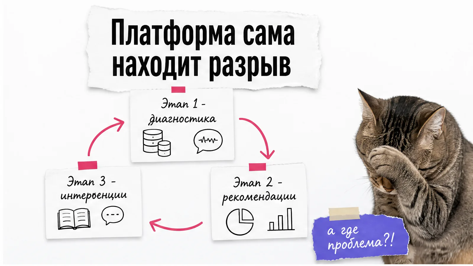 Кот рассматривает схему из трёх этапов платформы Arist.