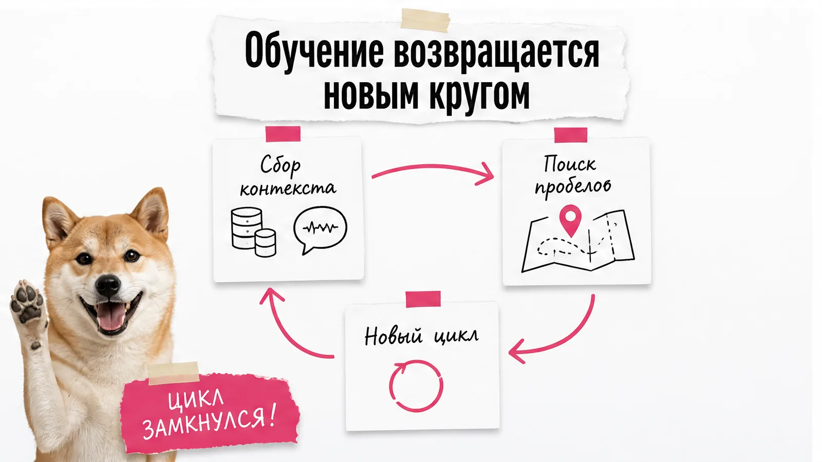 Сиба-ину одобряет замкнутый цикл обучения с обратной связью.