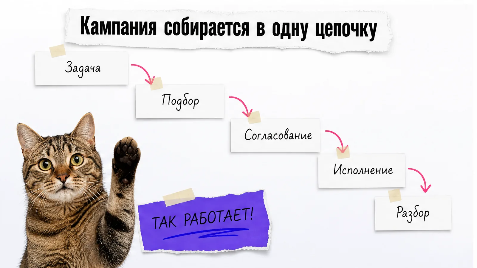 Кот одобряет цепочку размещения от задачи до разбора результата.
