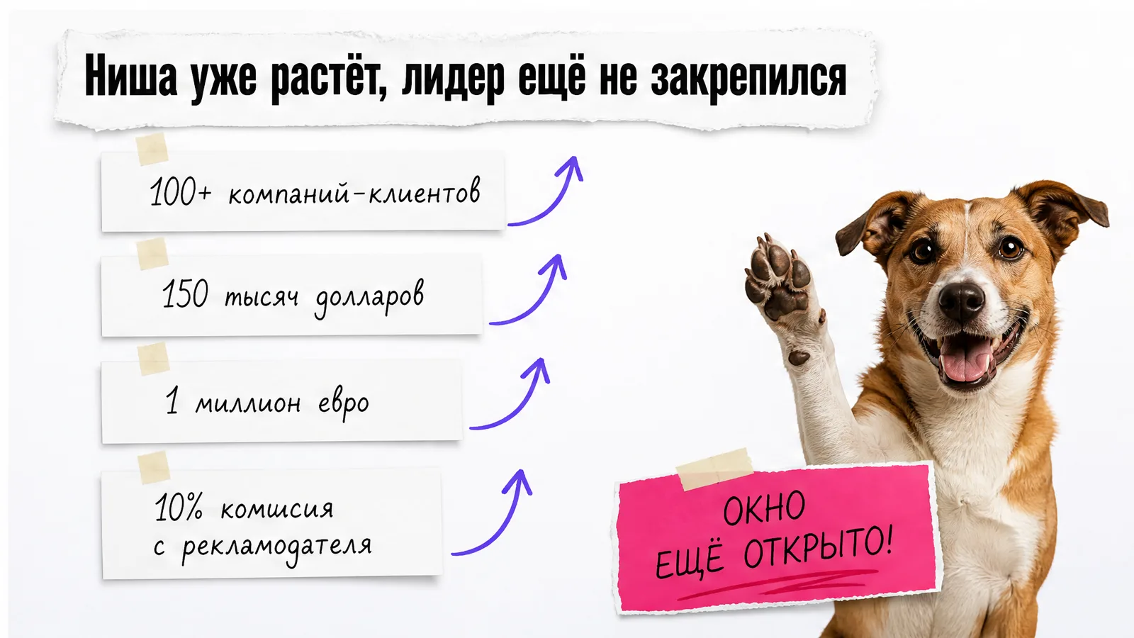 Собака держит таблички с ключевыми показателями Astute и поднимает лапу.