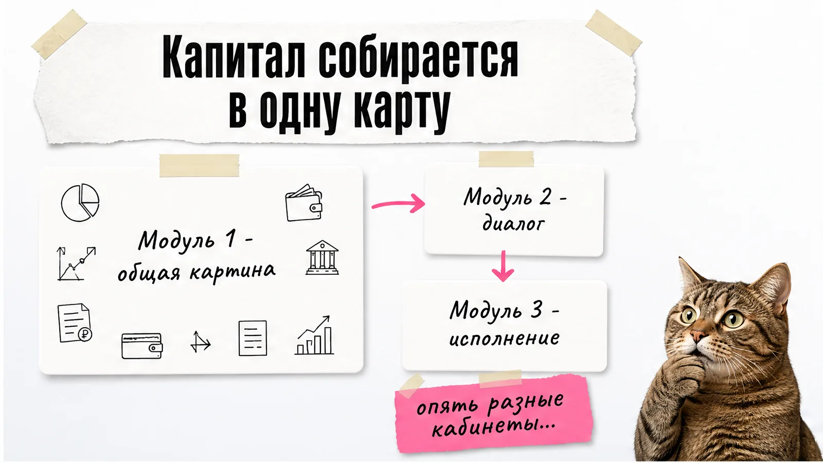 Кот удивлённо смотрит на схему из трёх модулей управления капиталом.