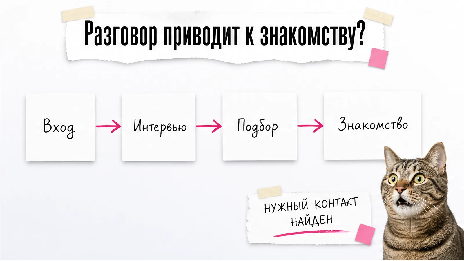 Кот удивляется схеме из четырёх шагов: вход, интервью, подбор и знакомство.