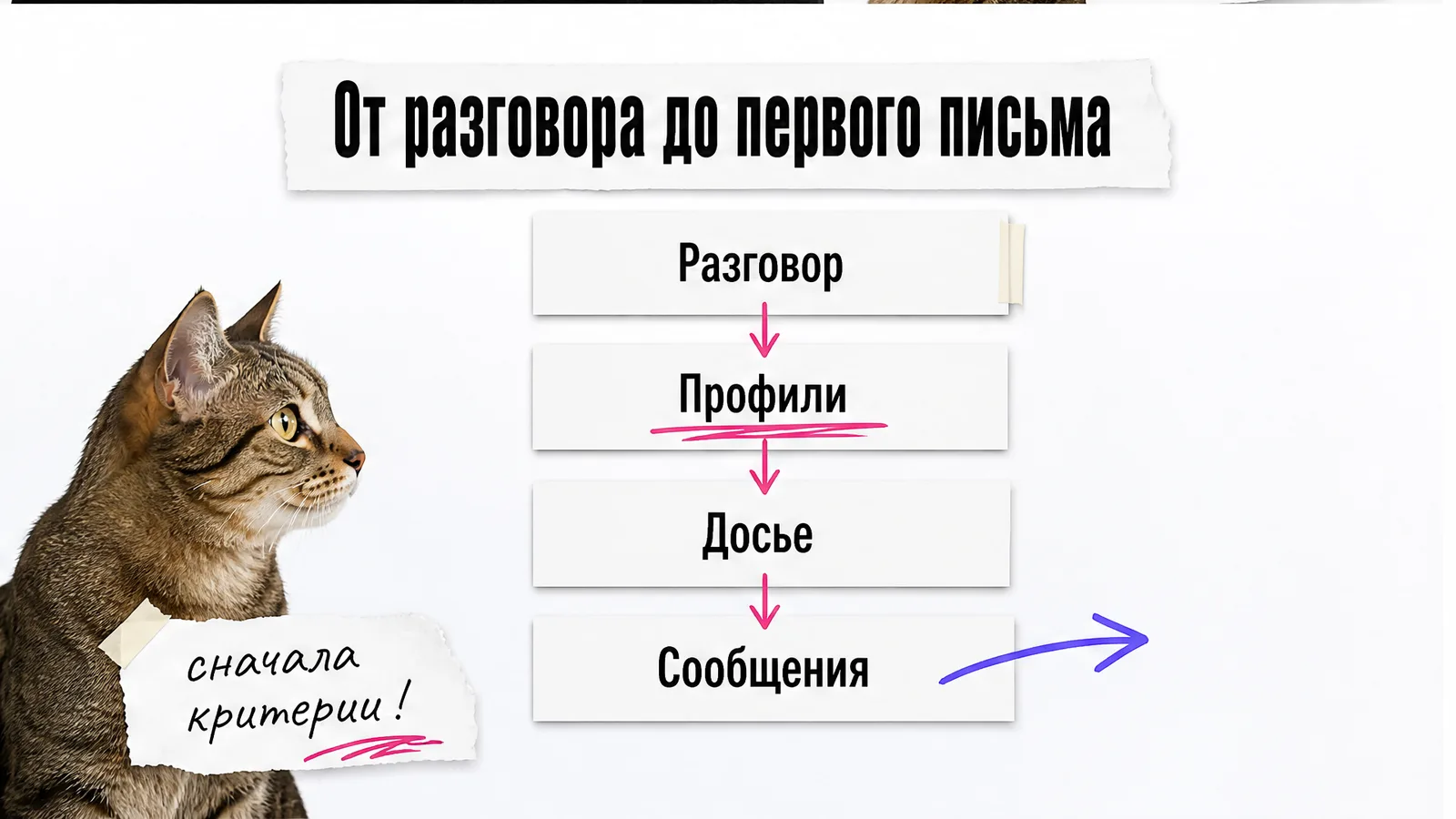 Кот смотрит на схему из четырёх этапов от разговора до сообщений.