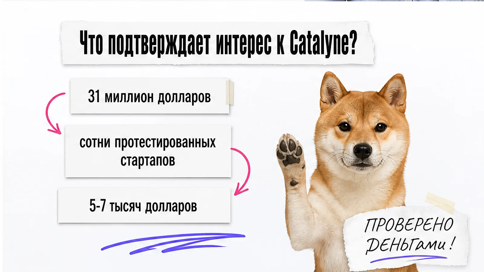 Собака поднимает лапу рядом с карточками об инвестициях и стоимости услуги.