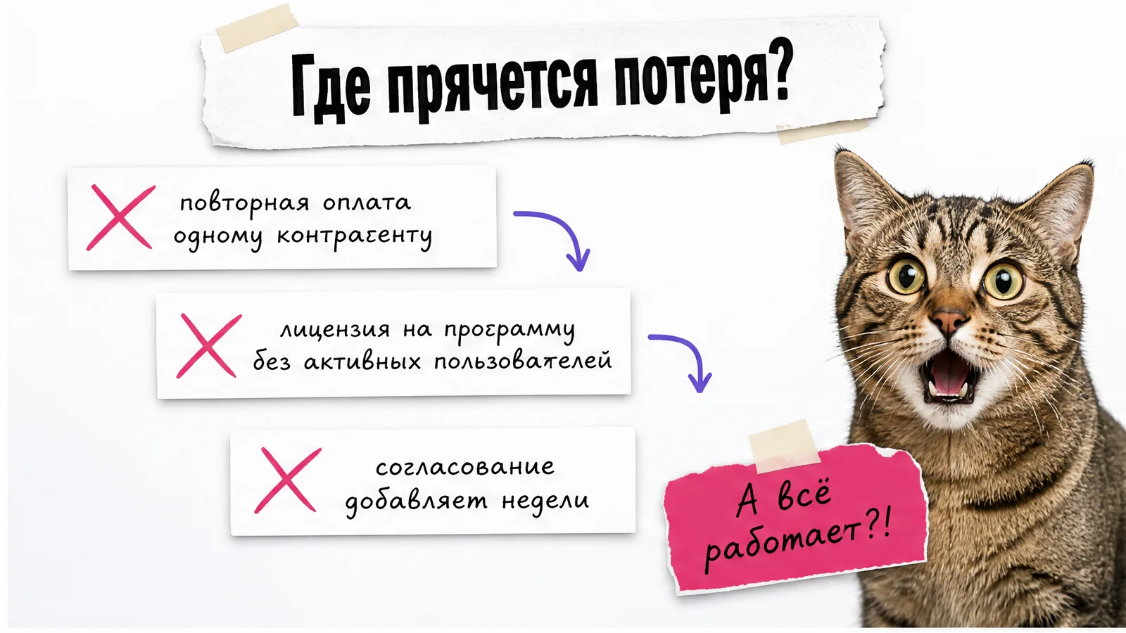 Кот удивлённо смотрит на карточки с примерами скрытых потерь.