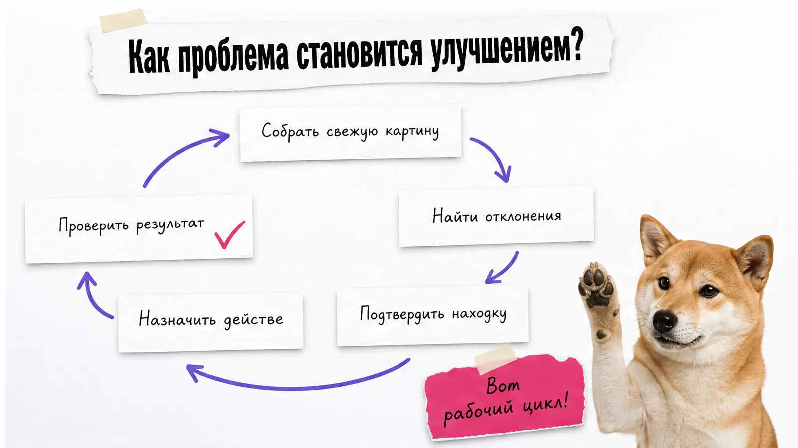 Кот поднимает лапу у замкнутой схемы проверки и исправления проблем.