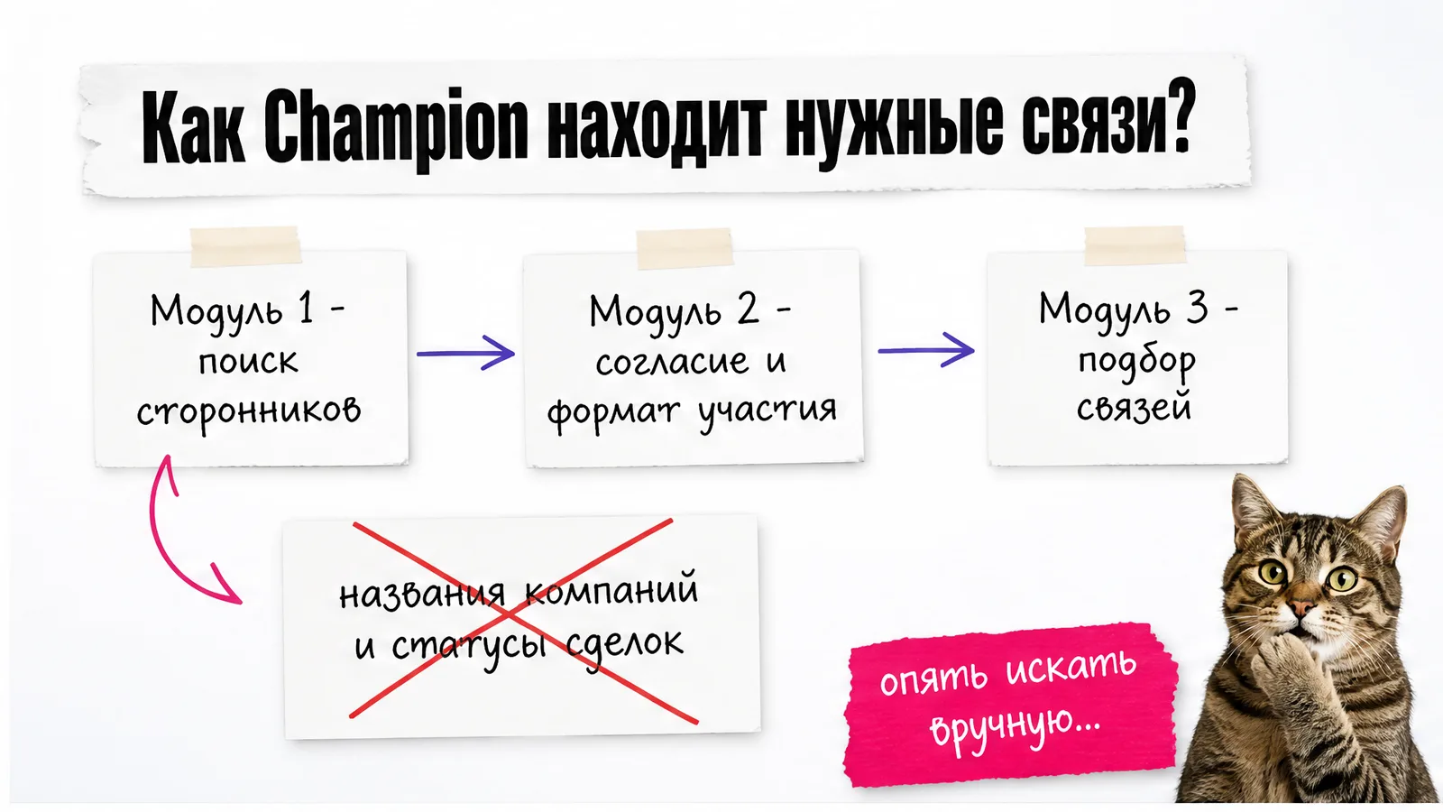 Кот наблюдает за схемой Champion с модулями поиска сторонников, согласия и подбора связей.