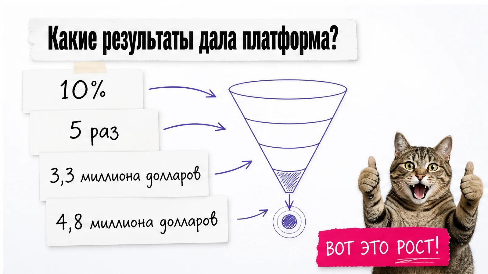 Кот с поднятой лапой стоит рядом с карточками результатов Champion: 10% и 5 раз.