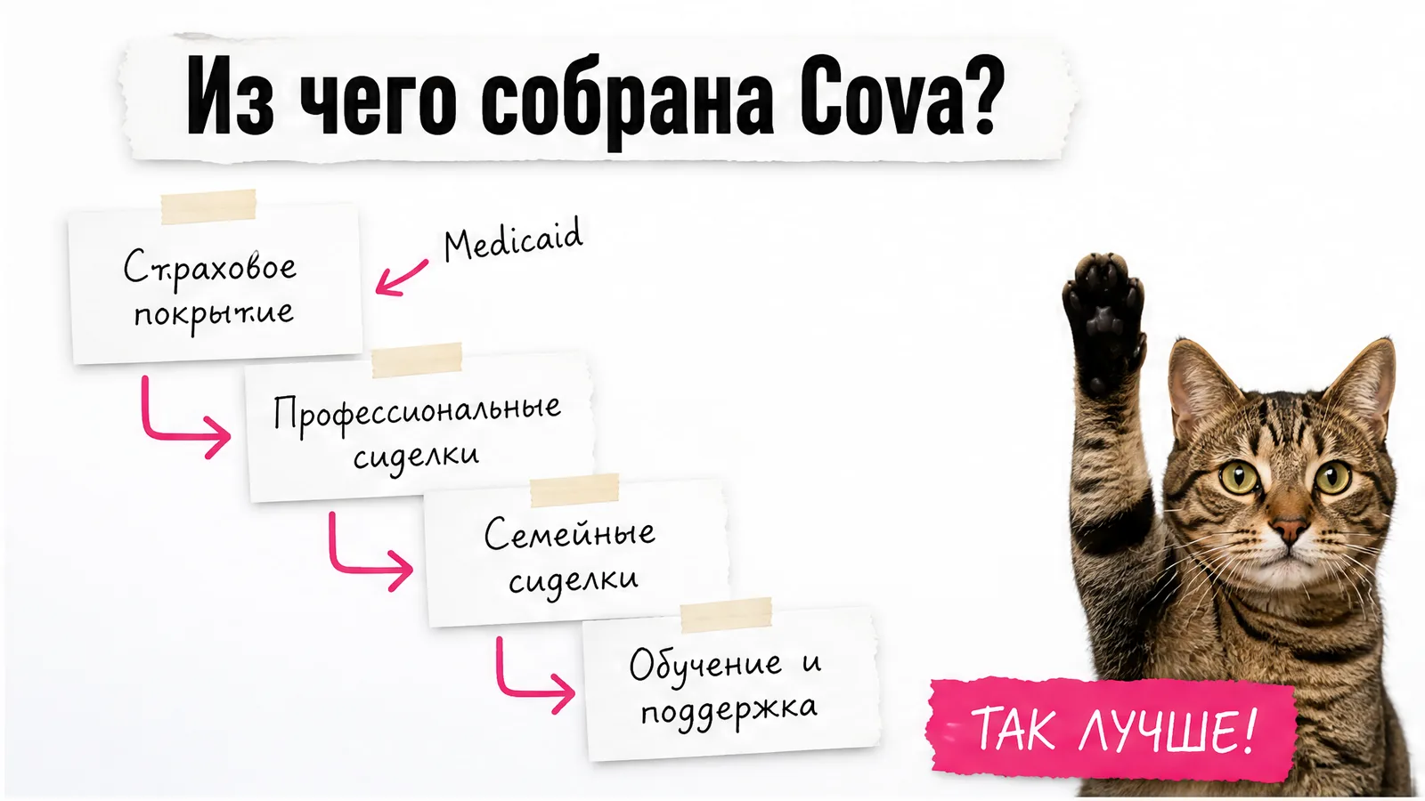 Кот держит карточку с четырьмя составляющими модели Cova.