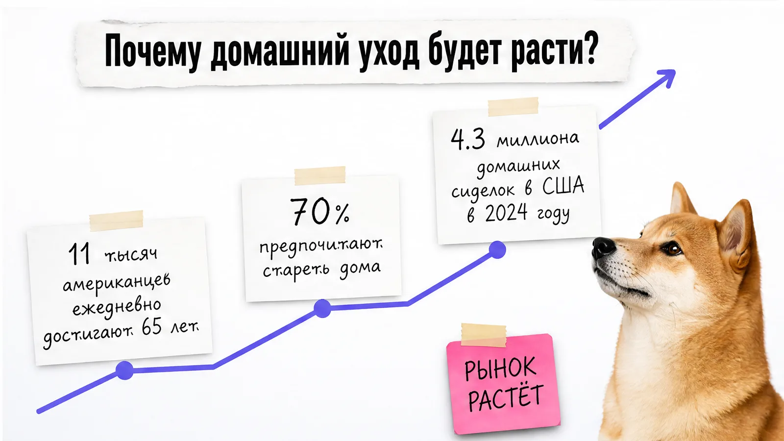 Собака смотрит на карточки со статистикой роста рынка домашнего ухода.