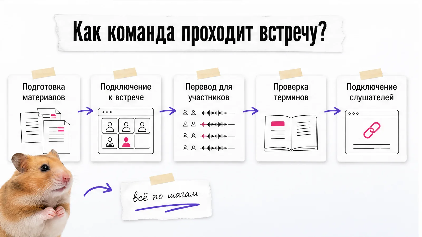 Хомяк настороженно смотрит на схему из пяти шагов рабочей встречи.