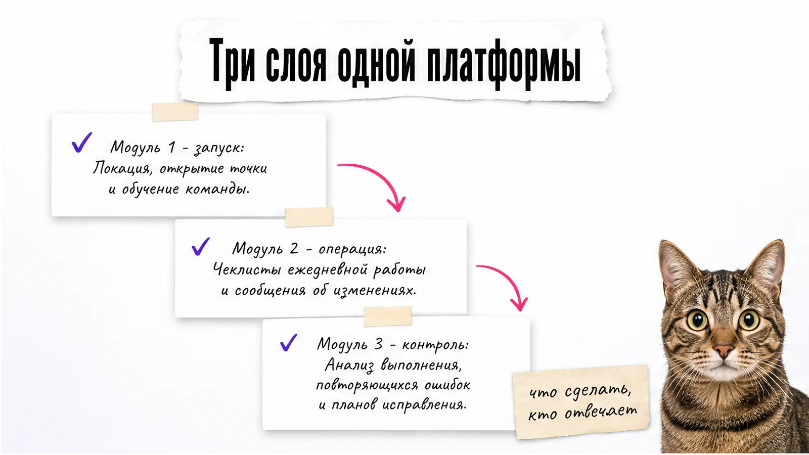 Кот рассматривает три слоя платформы: запуск, операции и контроль.