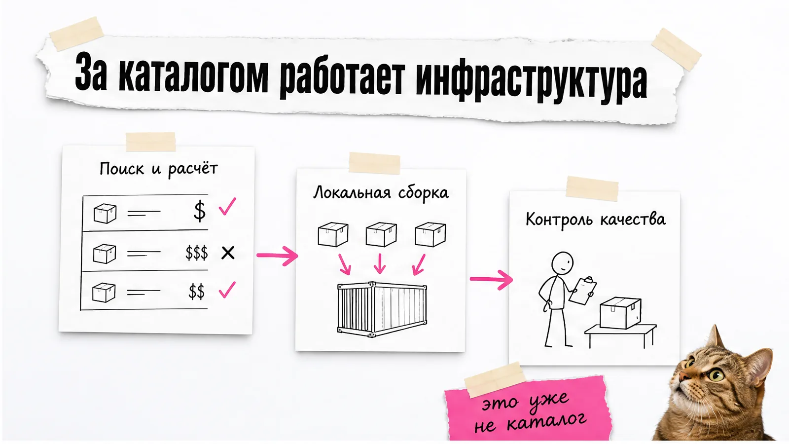 Кот удивлённо смотрит на схему закупочной инфраструктуры Donkey.