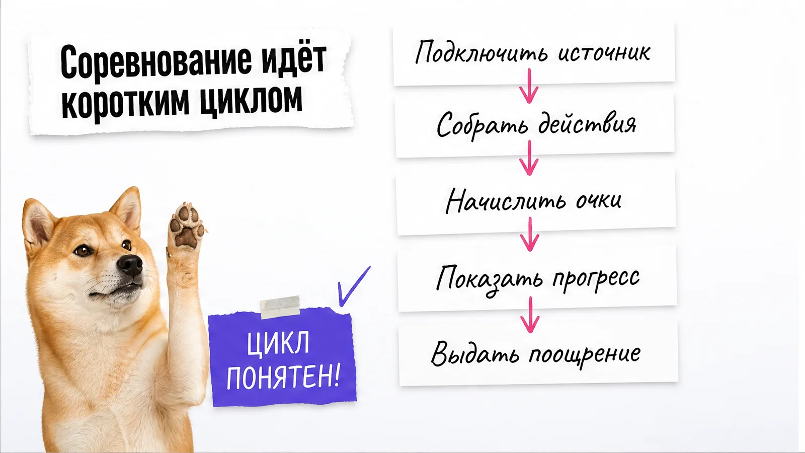 Собака показывает лапой вверх на цепочку из пяти шагов соревнования.