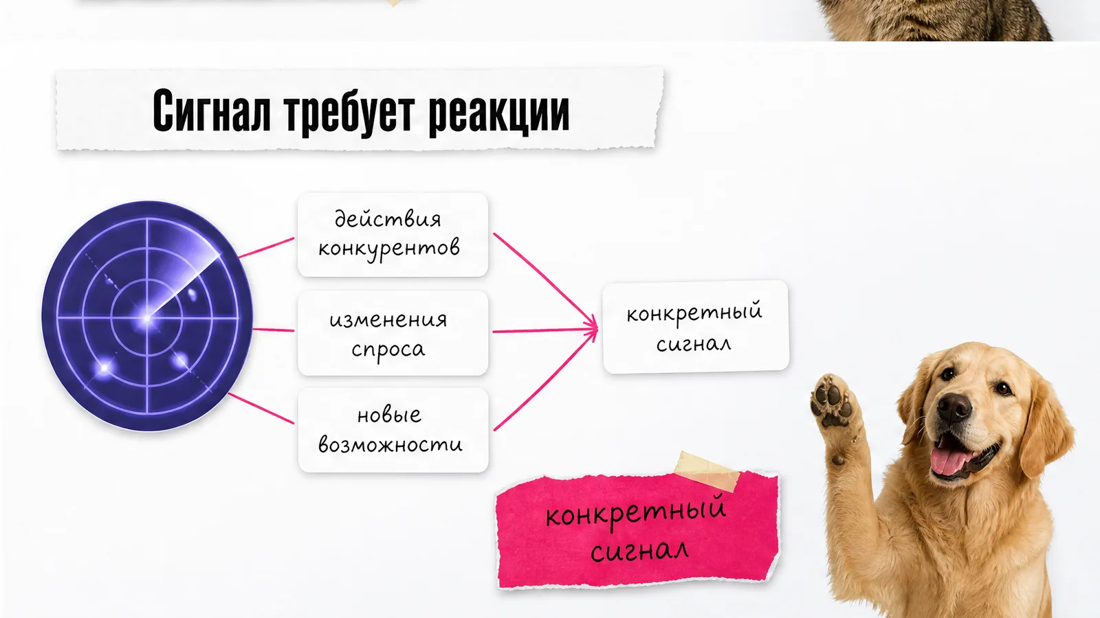 Собака поднимает лапу рядом с радаром и сигналами рынка.