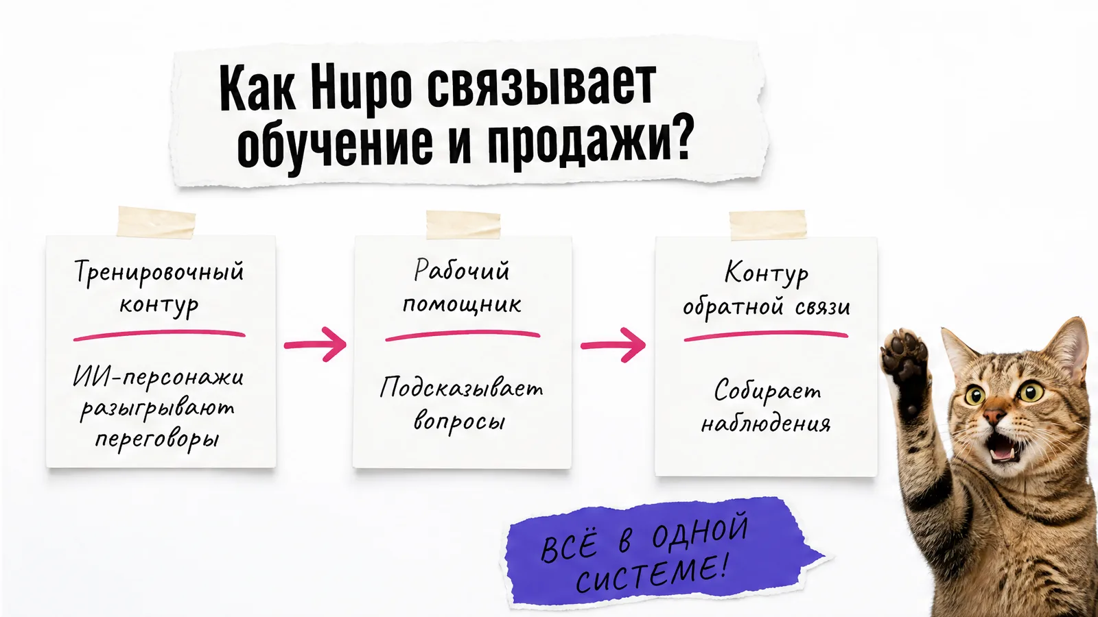 Кот держит три карточки с контурами тренировочной платформы Hupo.