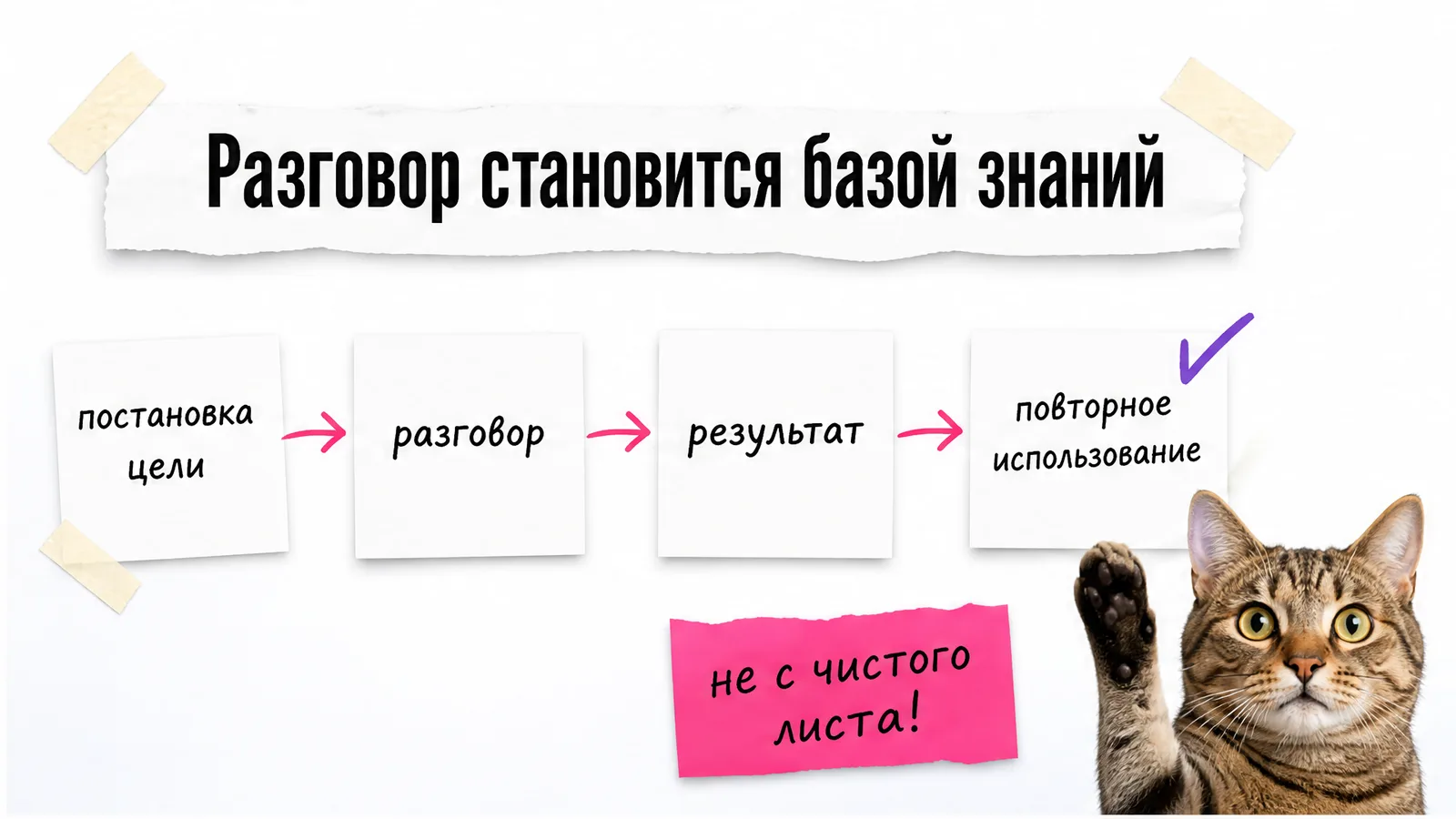 Кот с поднятой лапой показывает четыре модуля платформы Knoa.