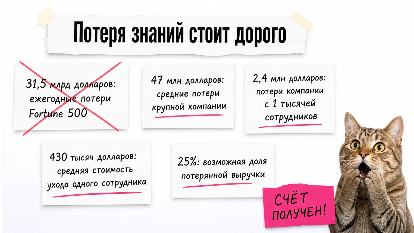 Кот в шоке смотрит на карточки с оценками финансовых потерь компании.