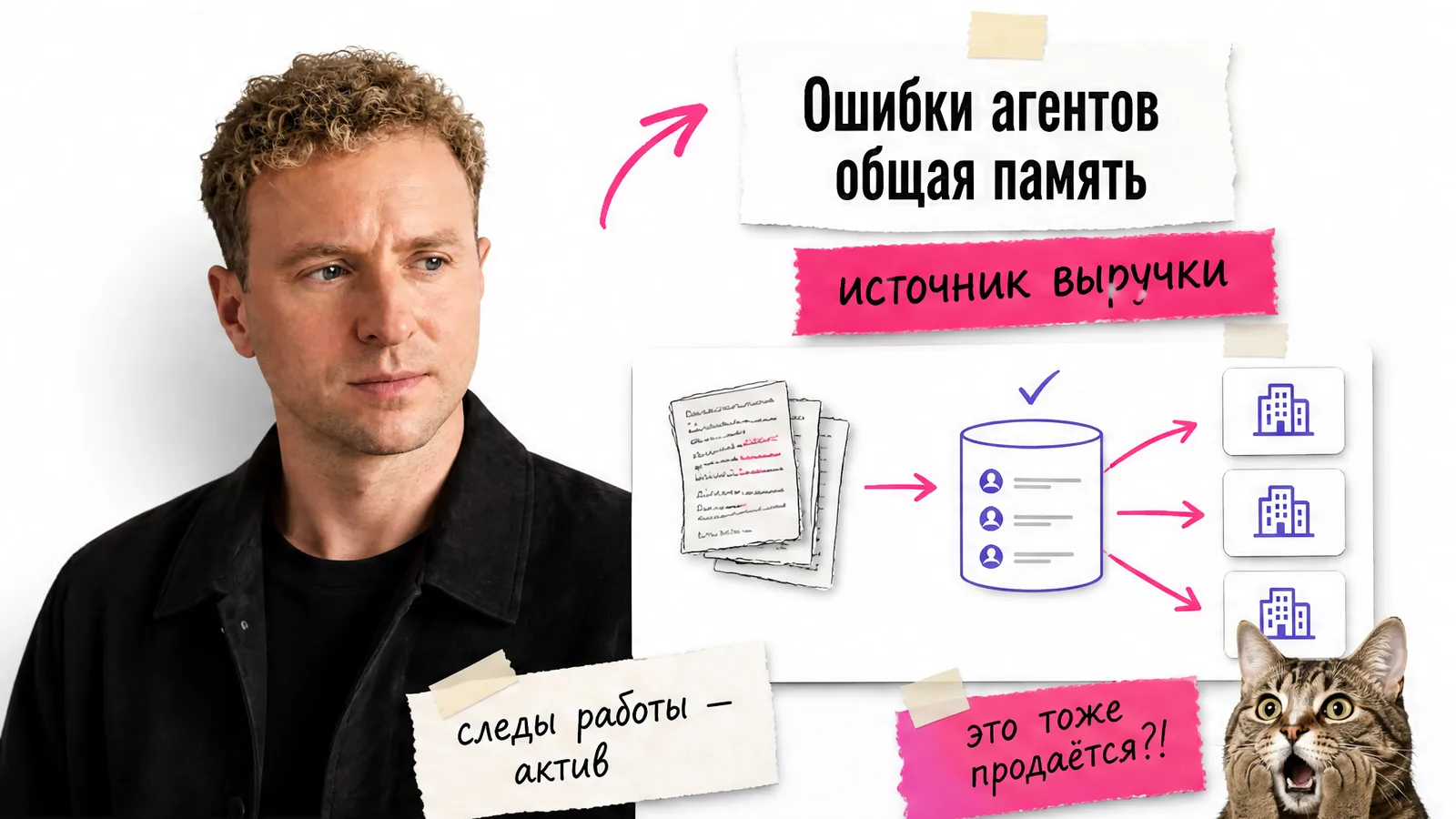 Автор статьи показывает схему Magma, рядом кот удивлённо смотрит на превращение логов в актив.