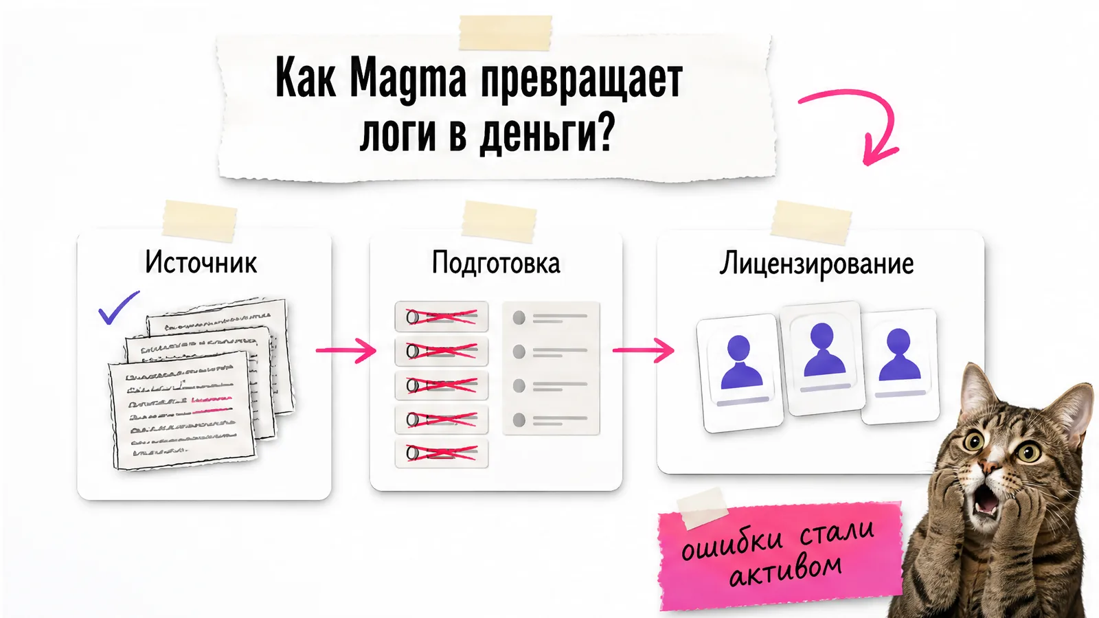 Кот держит схему из трёх этапов: источник, подготовка и лицензирование данных.