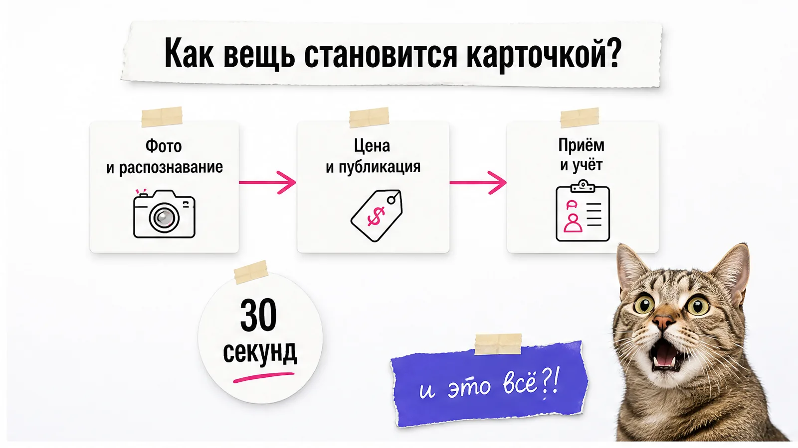 Кот удивлённо смотрит на три модуля Minimist для подготовки товара.
