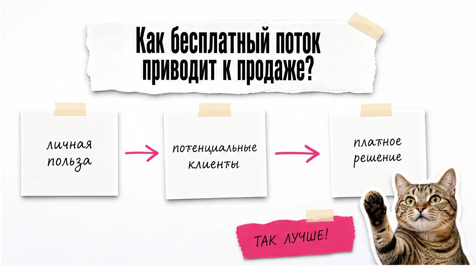 Кот показывает развилку от личной пользы кандидата к платному решению для компаний.