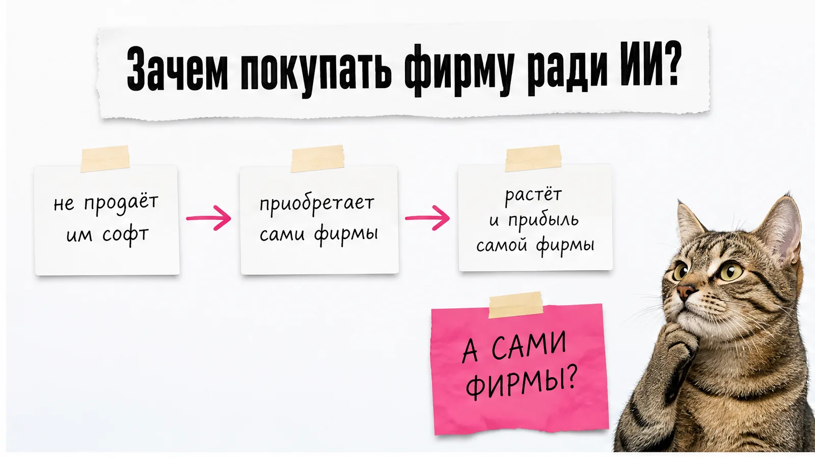 Кот смотрит на схему покупки бухгалтерской фирмы и роста её прибыли.