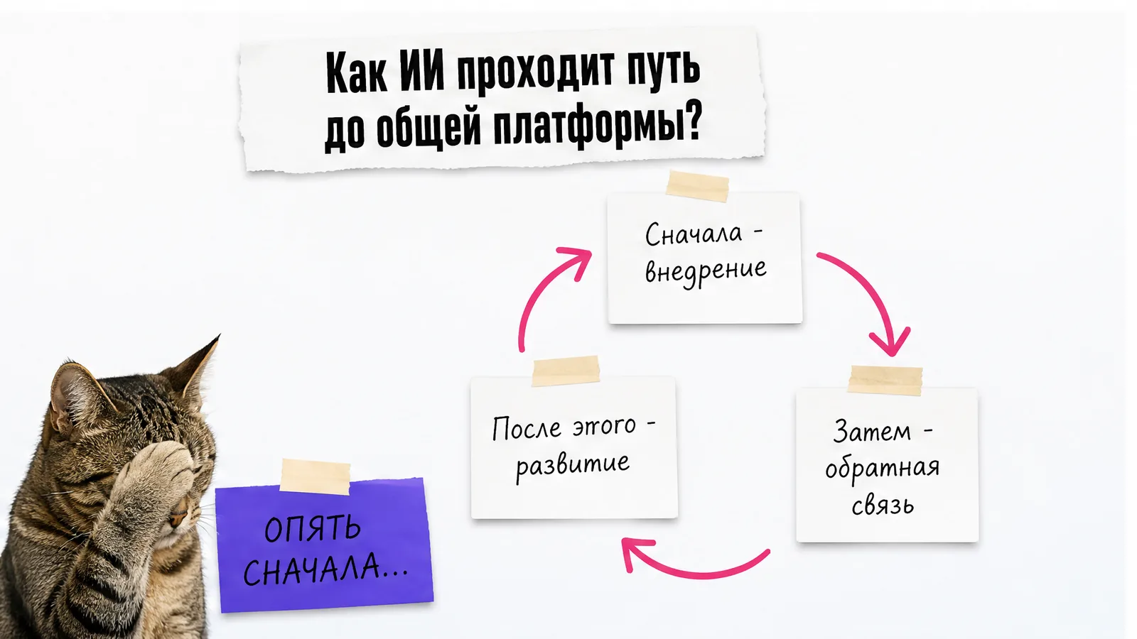 Кот у трёх карточек показывает цикл внедрения, обратной связи и развития платформы.