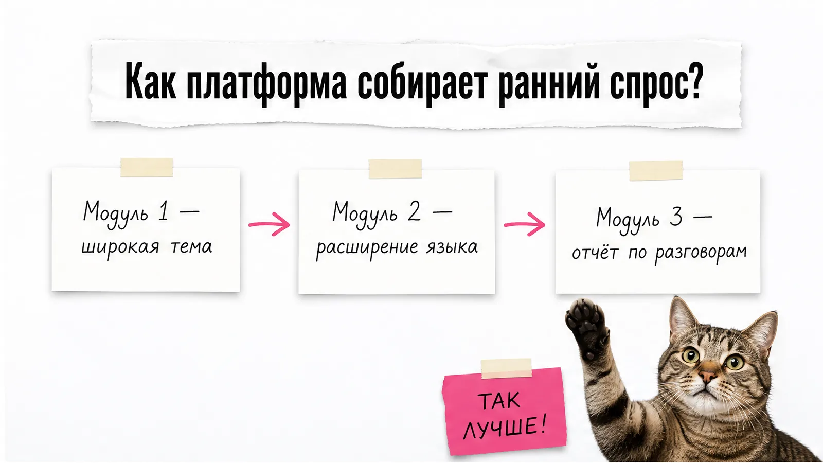 Кот одобряет схему из трёх модулей платформы Nichefire.