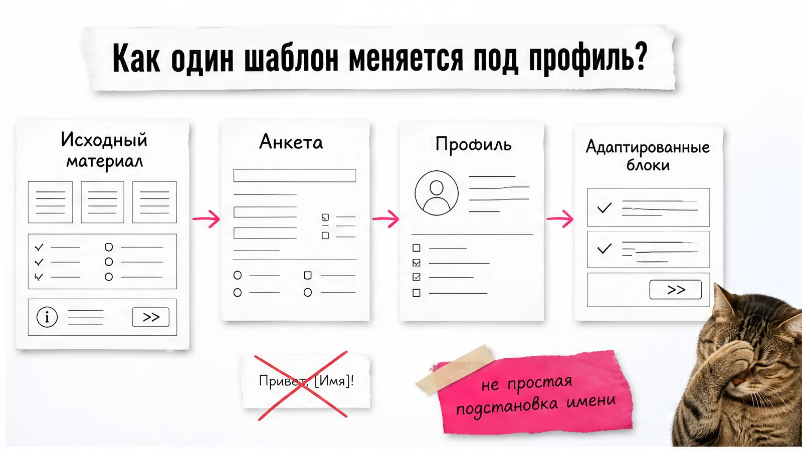 Кот у карточек с исходным материалом, анкетой, профилем и адаптированными блоками.