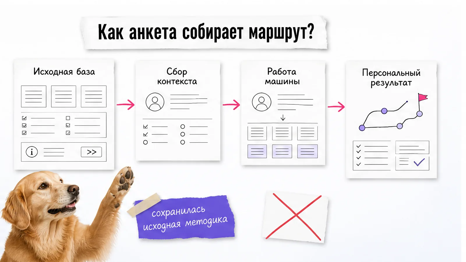 Собака одобрительно поднимает лапу рядом со схемой из четырёх этапов адаптации.