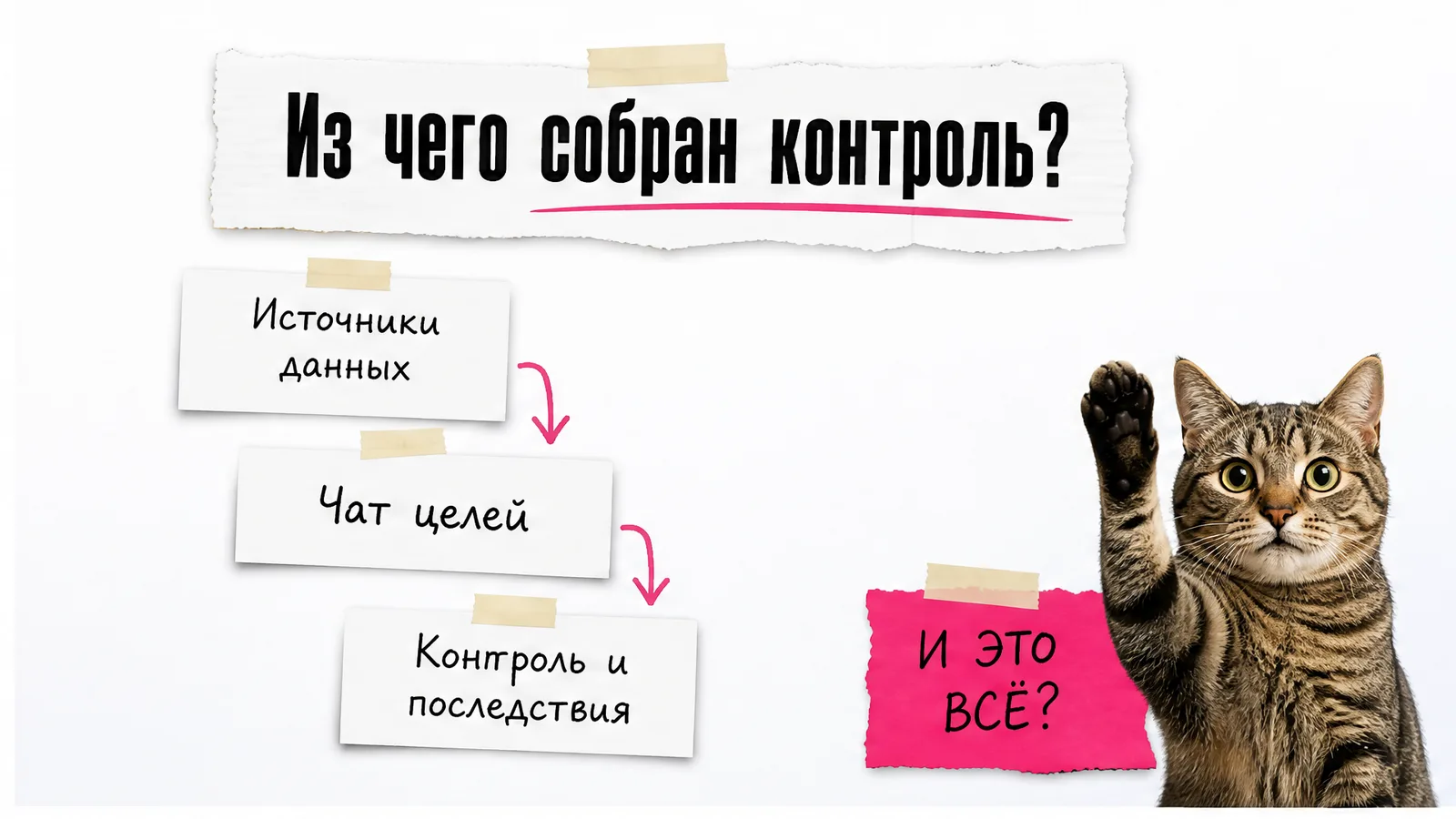 Кот держит карточку со связкой «данные — правило — действие».