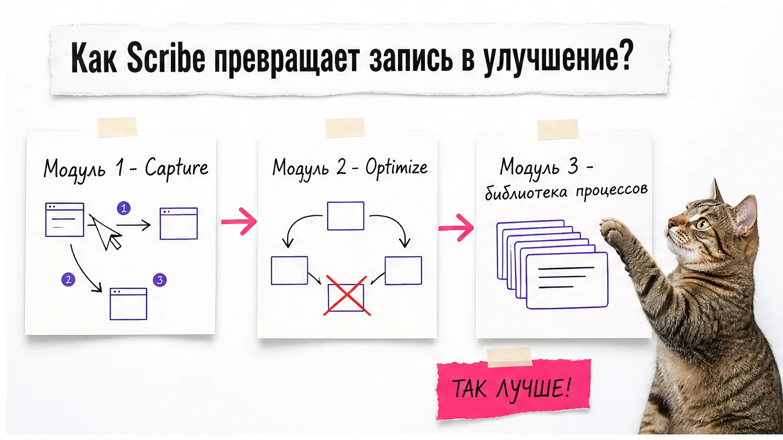 Кот одобряет схему из модулей Capture, Optimize и библиотеки процессов.