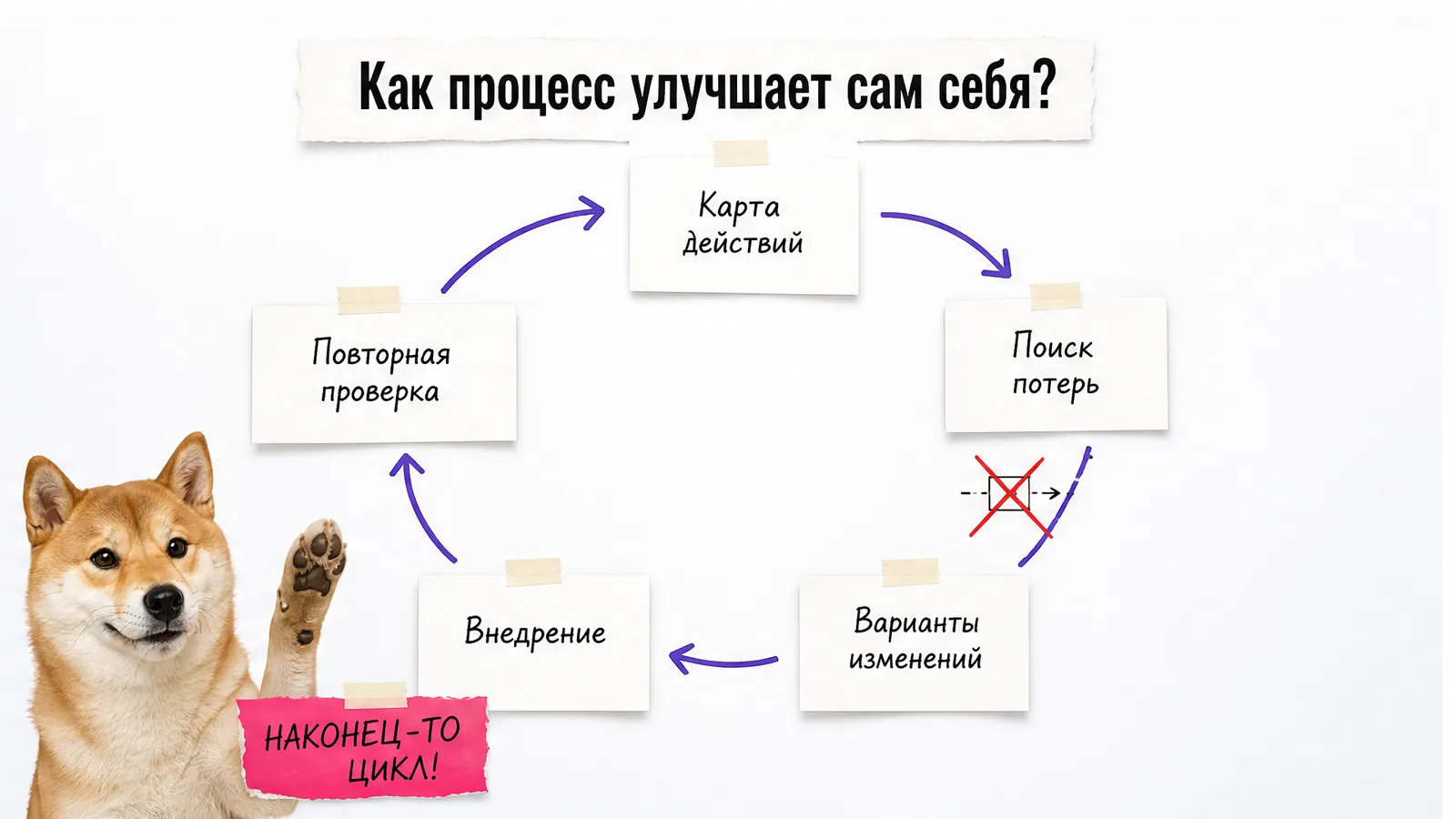 Собака одобряет замкнутый цикл наблюдения, поиска потерь, изменений и повторной проверки.