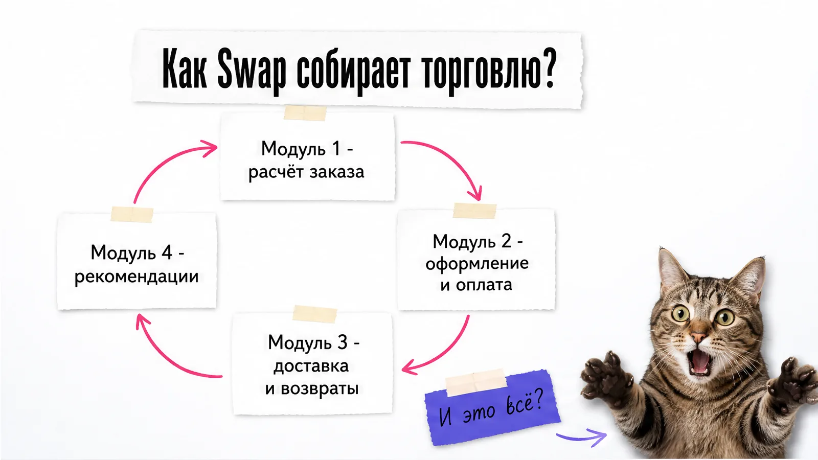 Кот удивлённо смотрит на четыре карточки с модулями платформы Swap.