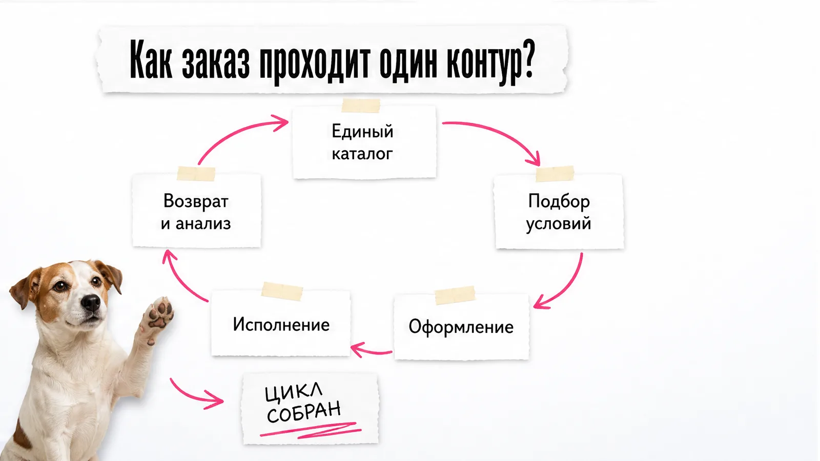 Собака поднимает лапу рядом со схемой из пяти этапов международного заказа.