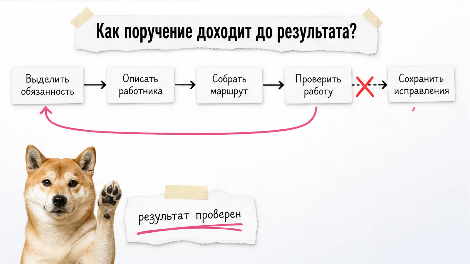Собака одобрительно смотрит на схему из пяти шагов от обязанности до сохранения исправлений.