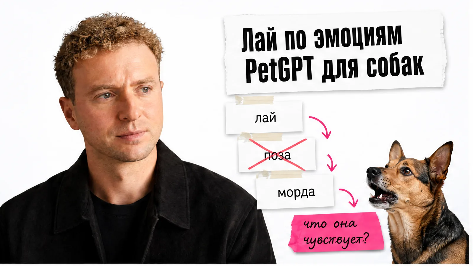 Собака не скажет словами - зато её лай можно разложить по эмоциям