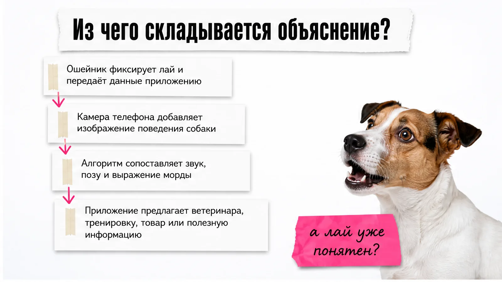 Собака показывает лапой на четыре карточки о сигнале, контексте, объяснении и следующем действии.