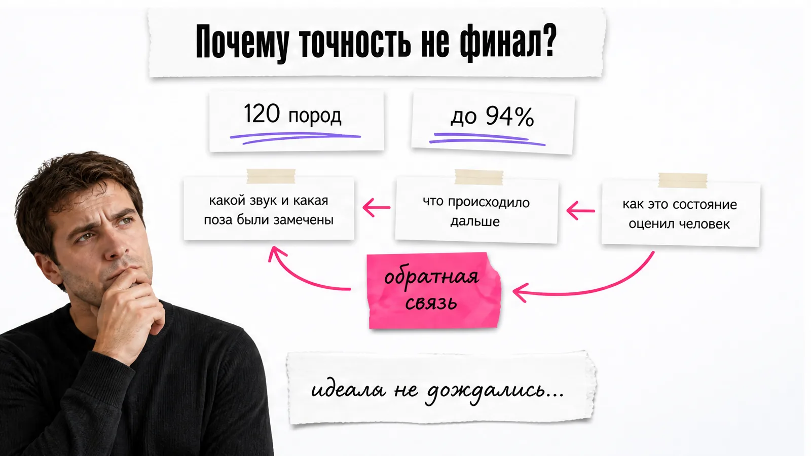 Мужчина закрывает ладонью лицо рядом с карточками о 120 породах, точности и обратной связи.