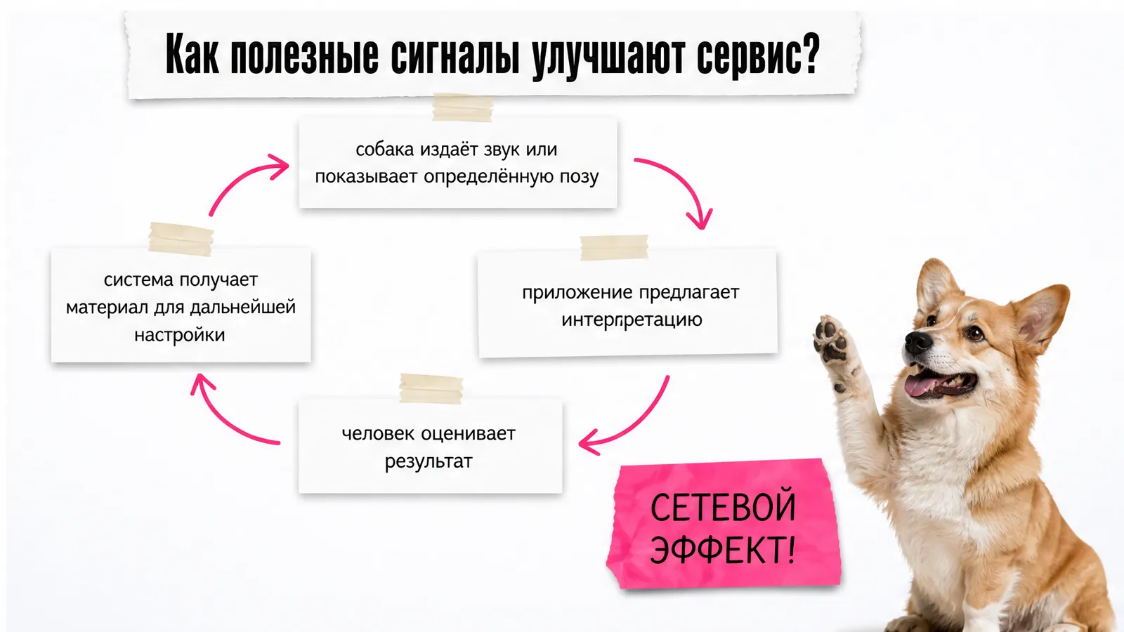 Собака поднимает лапу рядом с круговой схемой звука, интерпретации, оценки и настройки системы.