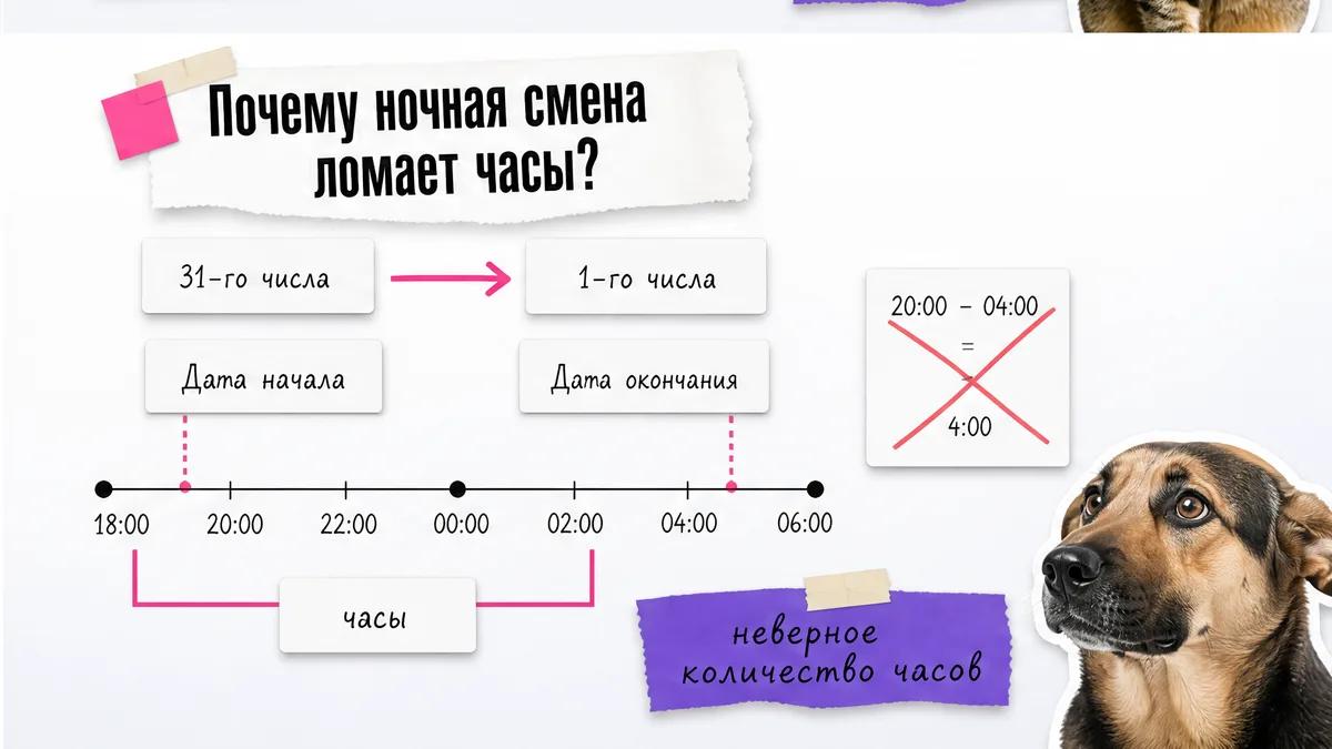 Собака тревожно смотрит на шкалу ночной смены от 31-го до 1-го числа.