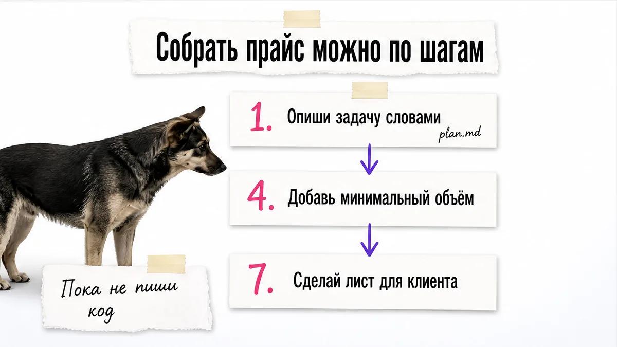 Собака рассматривает карточки с шагами создания таблицы прайса.