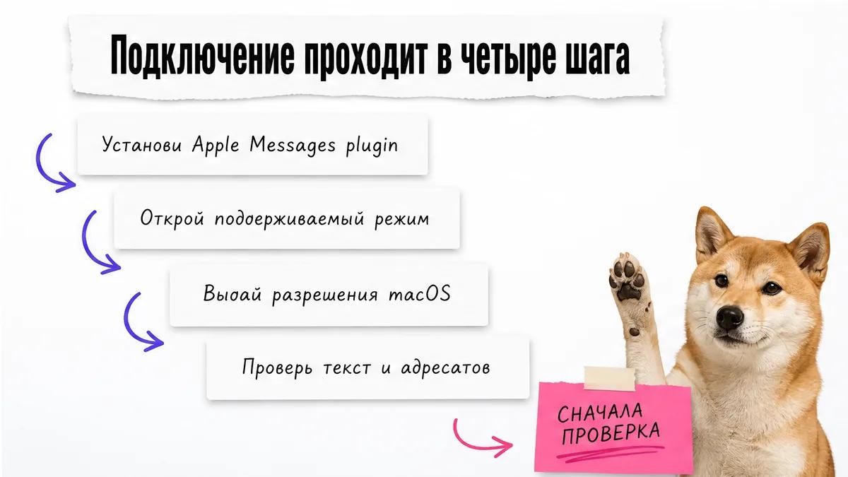 Собака поднимает лапу рядом с карточками четырёх шагов подключения ChatGPT к Messages.