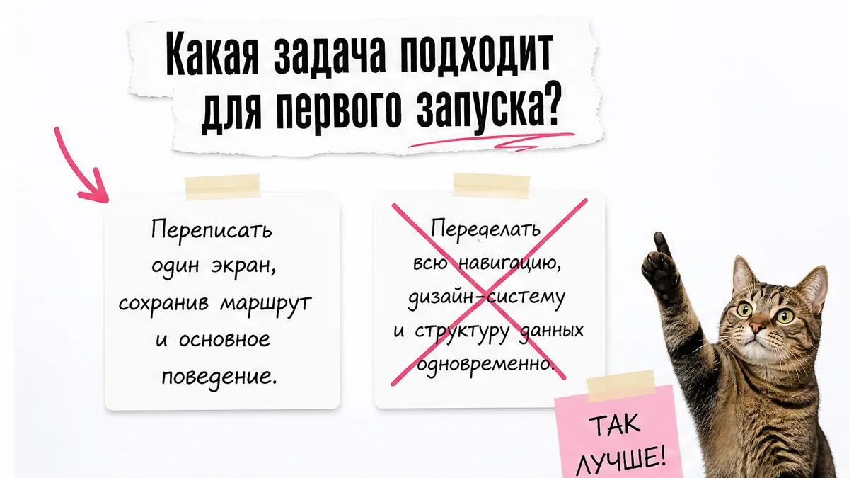 Кот сравнивает подходящую задачу с опасной переделкой всего проекта.