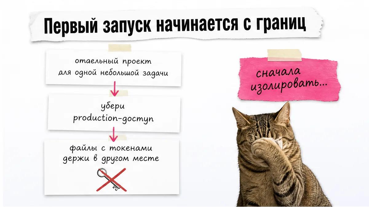 Кот закрывает морду лапой рядом с карточками подготовки отдельного проекта.