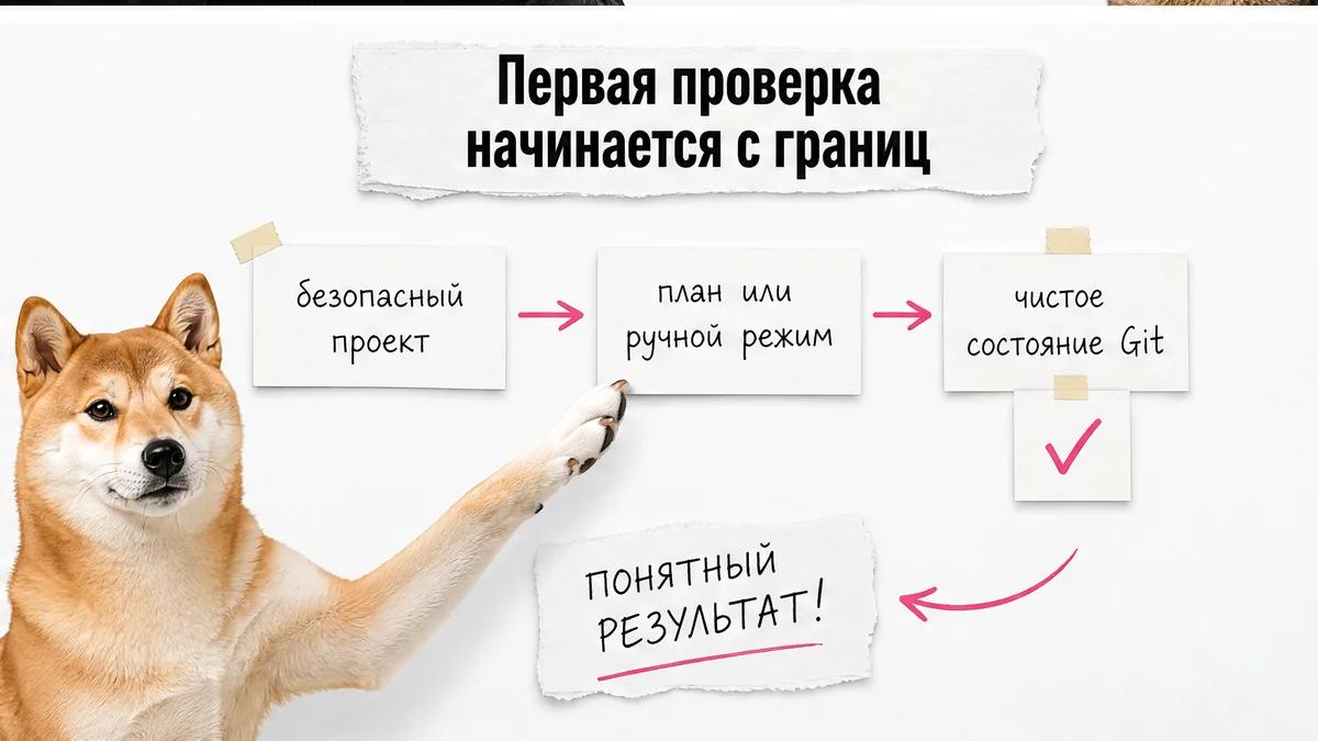 Кот одобряет цепочку подготовки безопасной первой проверки.