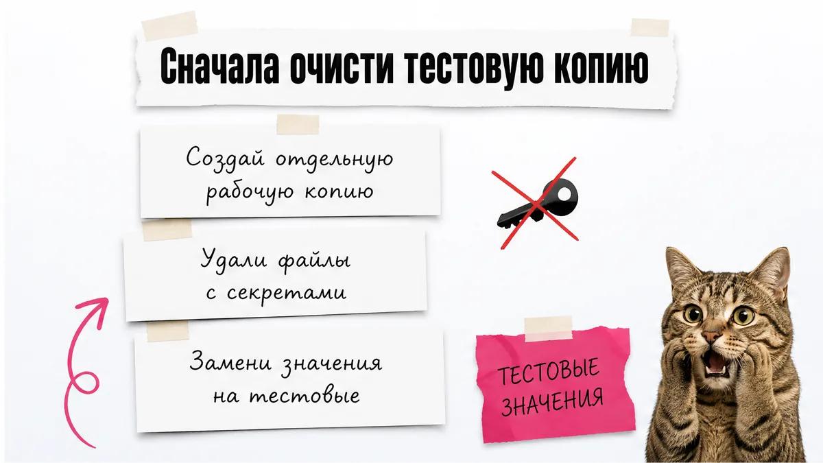 Кот смотрит на карточки с тремя шагами очистки тестовой копии проекта.